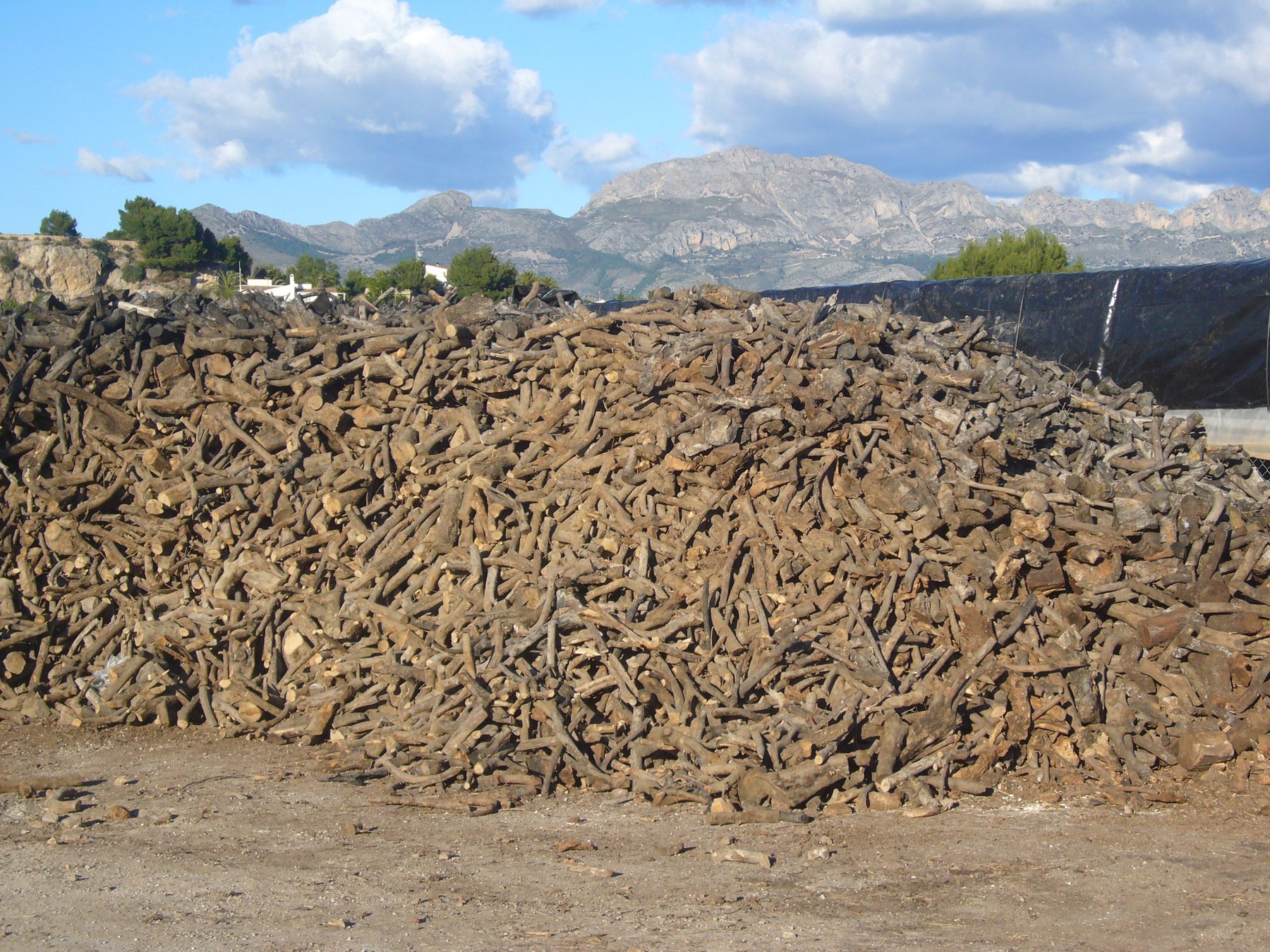 Gran acopio de leña cortada en el almacén, con montañas y cielo azul al fondo